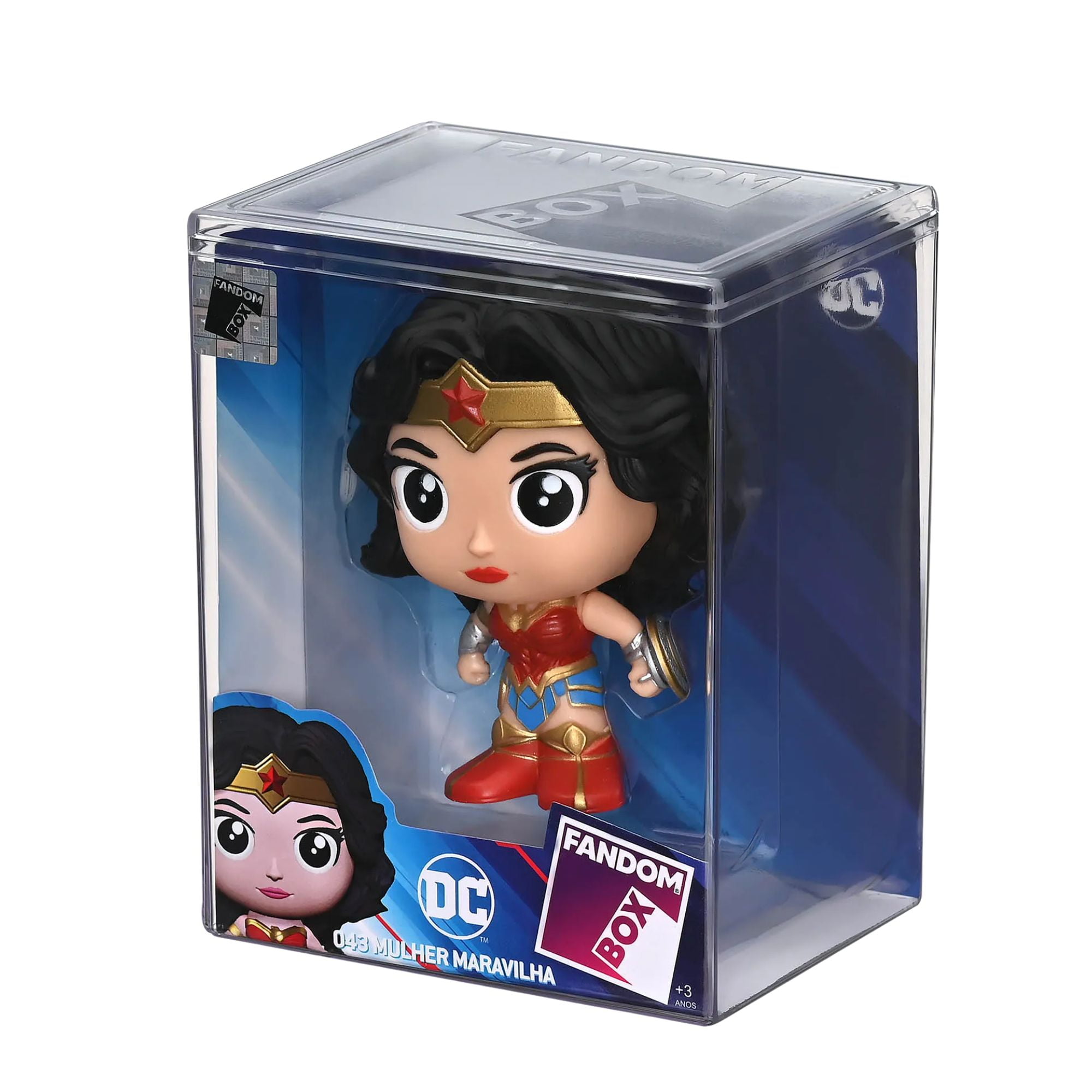 Fandon Box Liga da Justiça -Mulher Maravilha