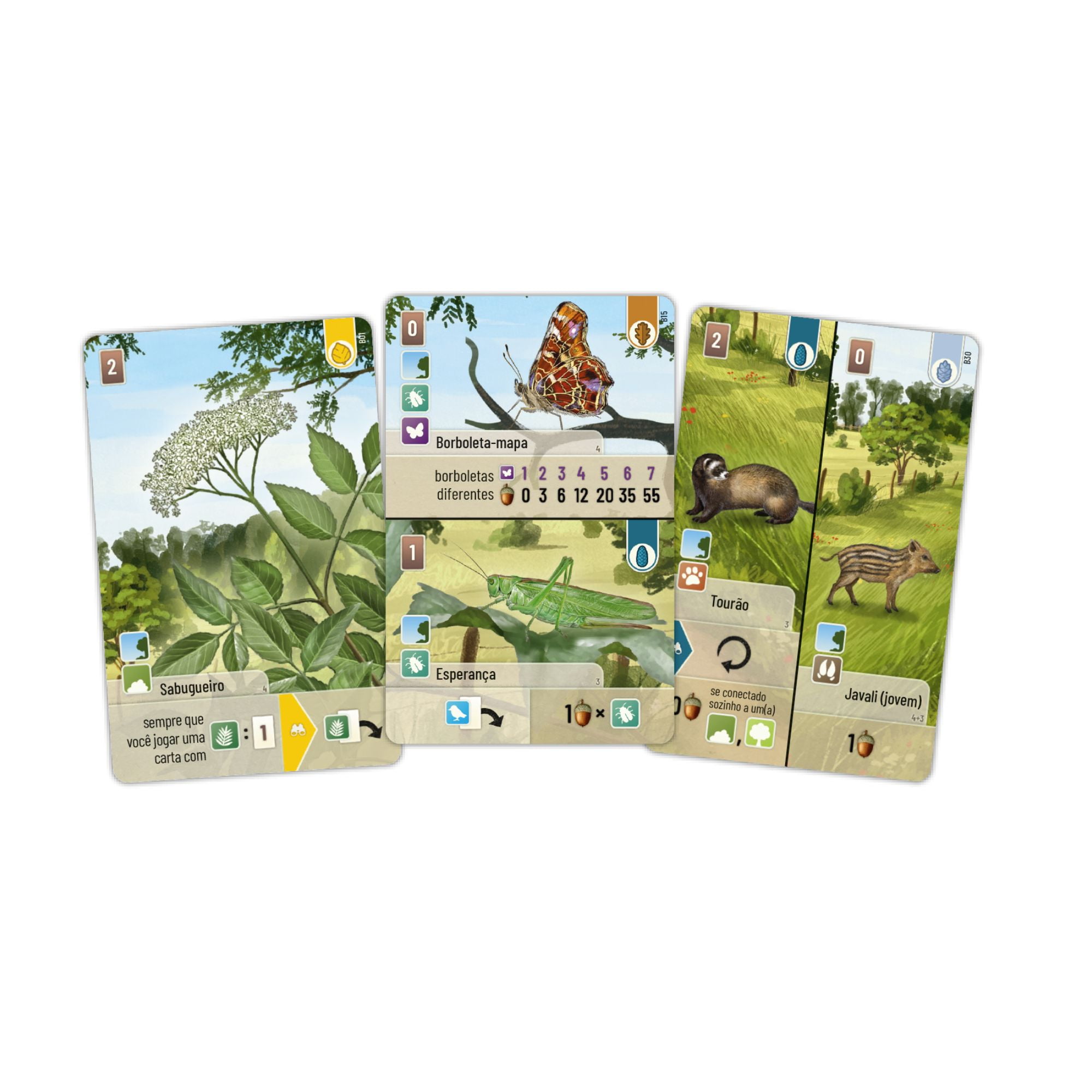 Expansão Forest Shuffle - Borda da Floresta - Bravo Jogos