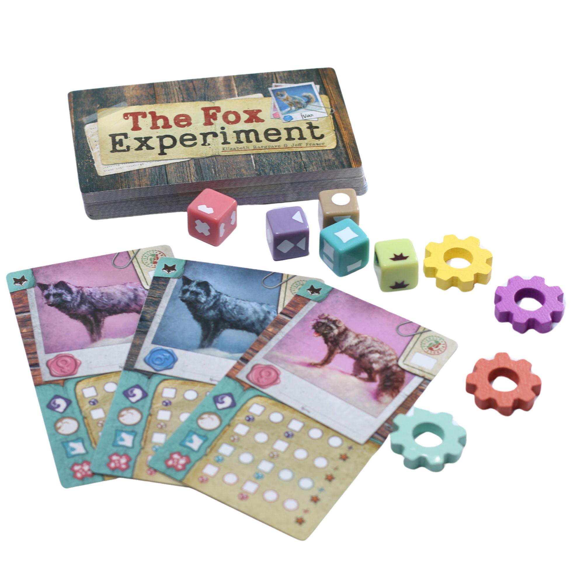 Jogo The Fox Experiment - Bravo Jogos