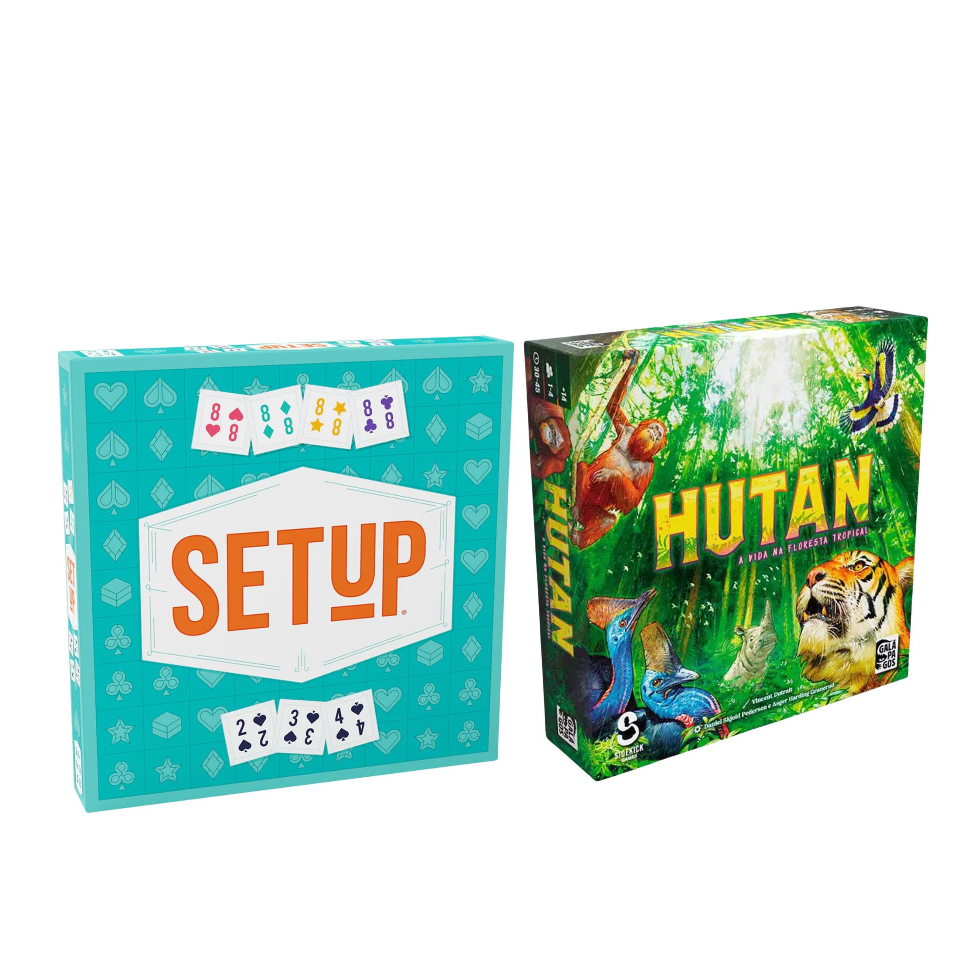 Setup + Hutan