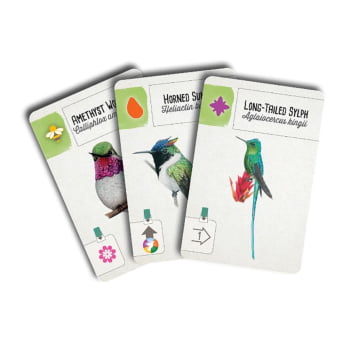 Expansão Americas : Wingspan