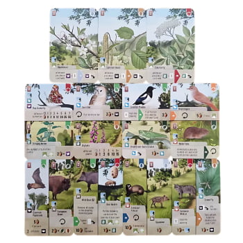 Expansão Forest Shuffle - Borda da Floresta