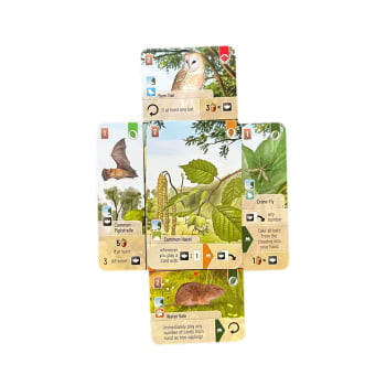 Expansão Forest Shuffle - Borda da Floresta