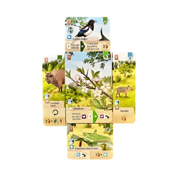 Expansão Forest Shuffle - Borda da Floresta