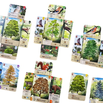 Expansão Forest Shuffle - Borda da Floresta