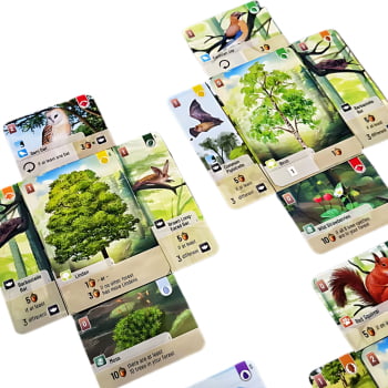 Expansão Forest Shuffle - Borda da Floresta