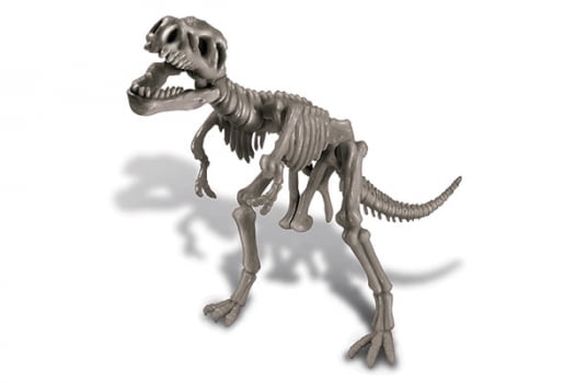 Kit de Escavação Tiranossauro Rex