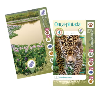 Jogo Amazoom - Uma Competição Fotográfica na Amazônia