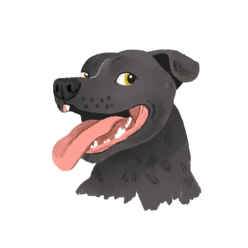 Jogo Dia de Cão 
