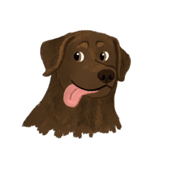 Jogo Dia de Cão 