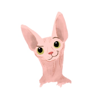 Jogo Dia de Gato