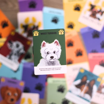 Jogo Dias de Cão 