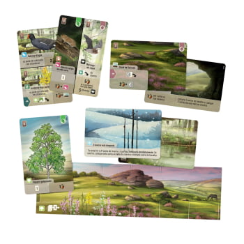 Jogo Forest Shuffle - Dartmoor