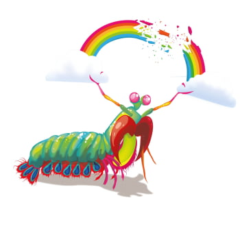 Jogo Mantis