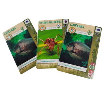 Kit Jogos Bucaneiros Collection : Balde de Caranguejo, Pool Party Stars, Frost Shelter, AmaZoom (Vol 1) + Sleeves Grátis e Kit de Promos