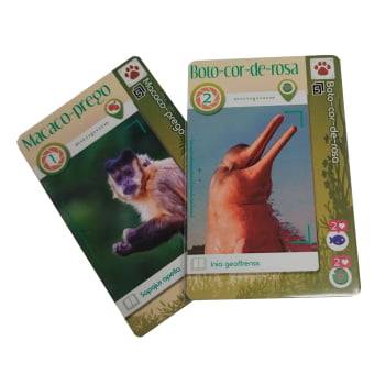 Kit Jogos Bucaneiros Collection : Balde de Caranguejo, Pool Party Stars, Frost Shelter, AmaZoom (Vol 1) + Sleeves Grátis e Kit de Promos