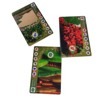 Kit Jogos Bucaneiros Collection : Balde de Caranguejo, Pool Party Stars, Frost Shelter, AmaZoom (Vol 1) + Sleeves Grátis e Kit de Promos