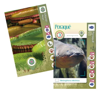 Kit Jogos Bucaneiros Collection : Balde de Caranguejo, Pool Party Stars, Frost Shelter, AmaZoom (Vol 1) + Sleeves Grátis e Kit de Promos