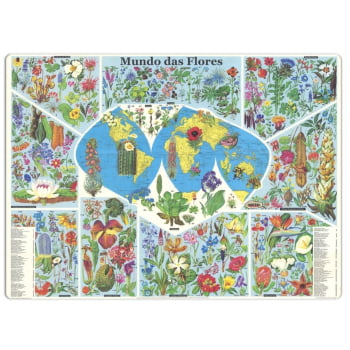 Quebra - Cabeça : Mundo das Flores (500 pçs)